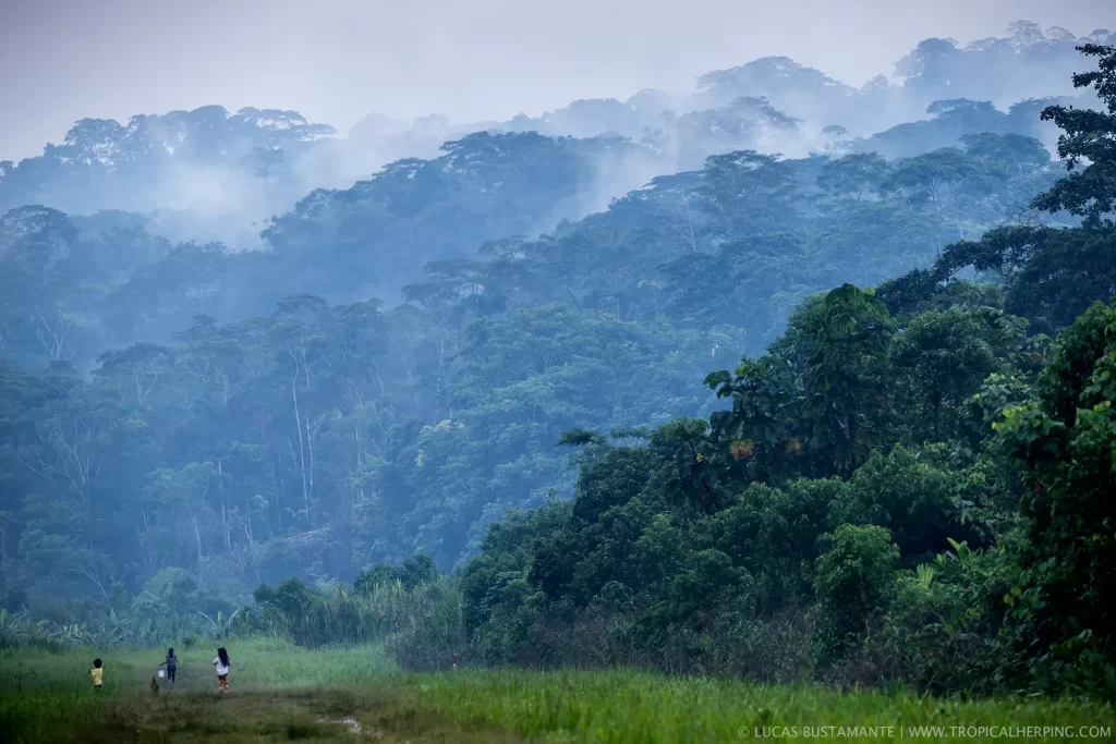 Eco-Tourism in the Amazon at Napo Cultural Center